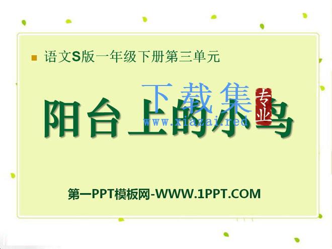 《阳台上的小鸟》PPT课件