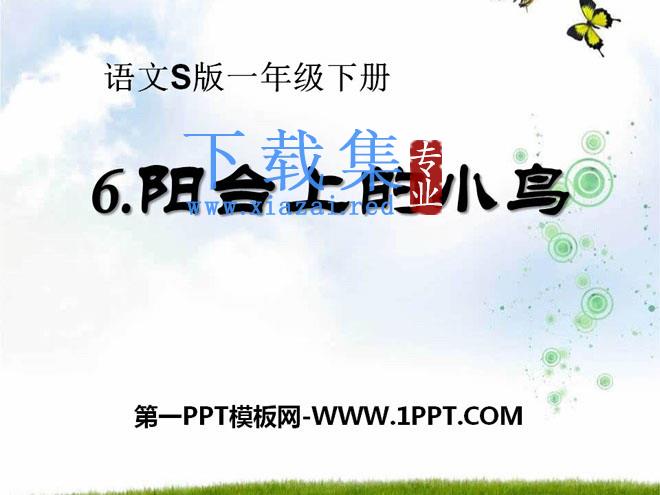 《阳台上的小鸟》PPT课件4
