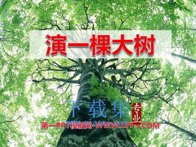《演一棵大树》PPT课件