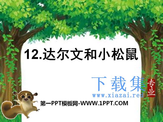 《达尔文和小松鼠》PPT课件5