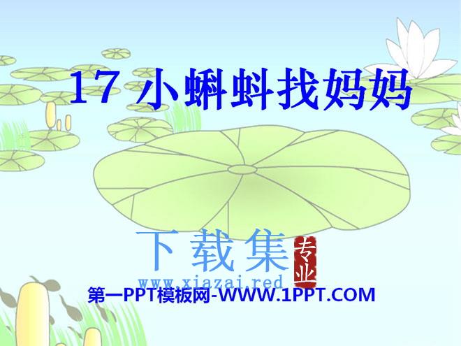 《小蝌蚪找妈妈》PPT课件8