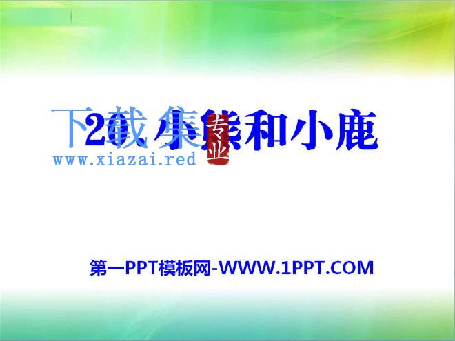 《小熊和小鹿》PPT课件3