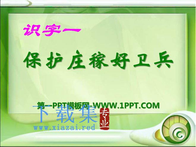 《保护庄稼好卫兵》PPT课件2