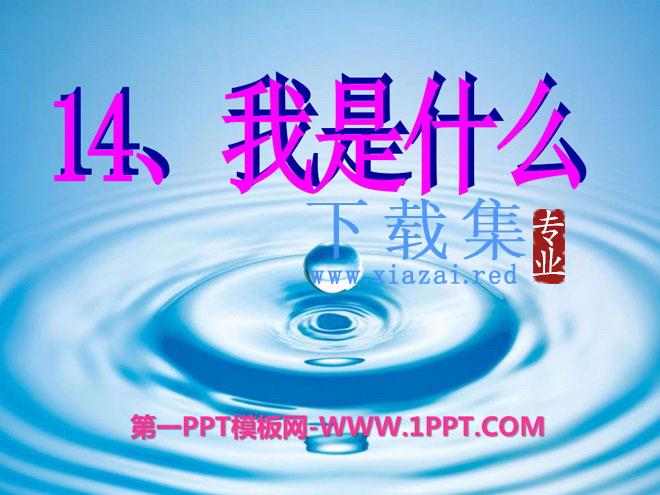 《我是什么》PPT课件8