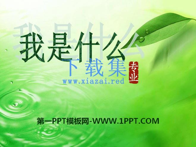 《我是什么》PPT课件9