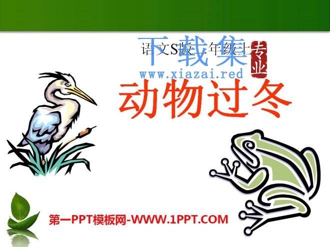《动物过冬》PPT课件