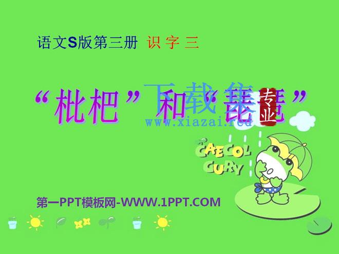 《“枇杷”和“琵琶”》PPT课件