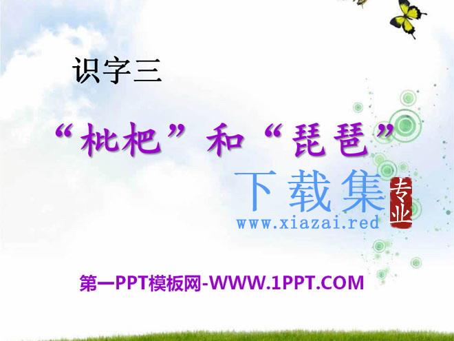 《“枇杷”和“琵琶”》PPT课件2