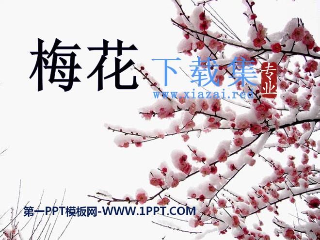 《梅花》PPT课件3