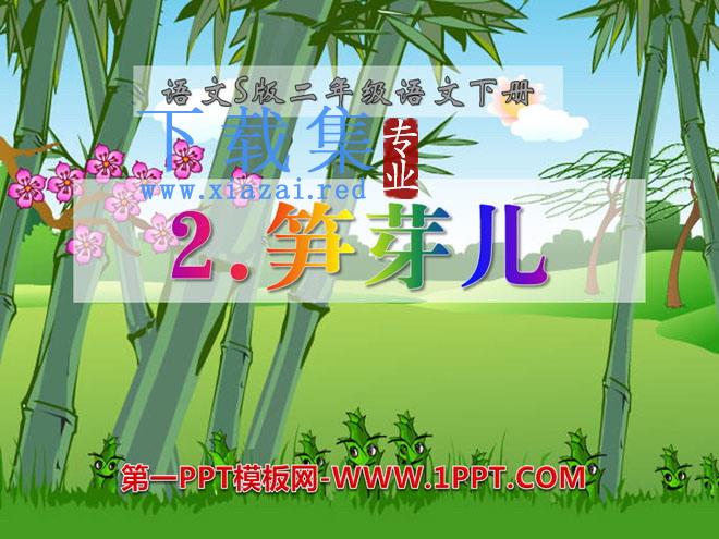 《笋芽儿》PPT课件9