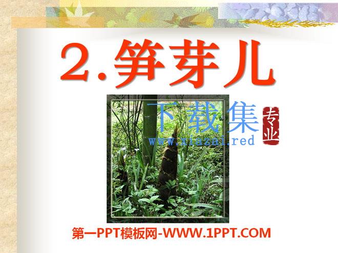 《笋芽儿》PPT课件10