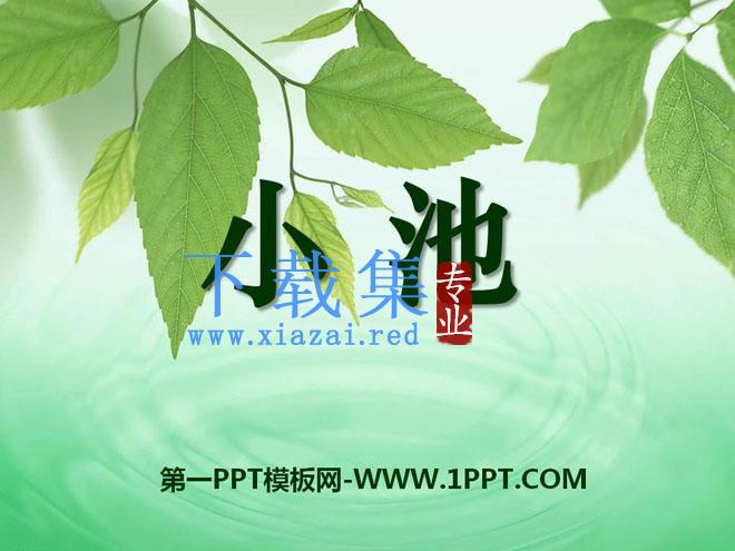 《小池》PPT课件5