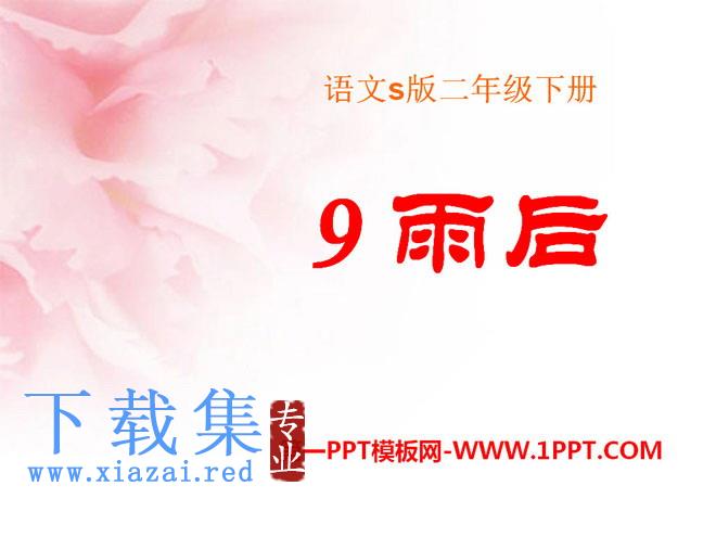 《雨后》PPT课件13