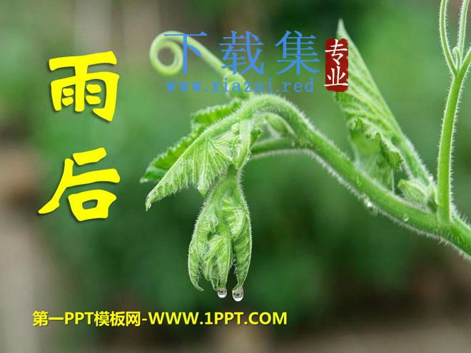 《雨后》PPT课件14