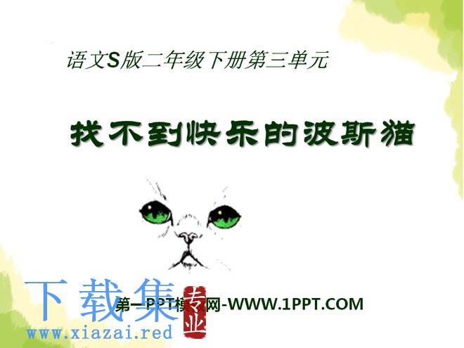 《找不到快乐的波斯猫》PPT课件2