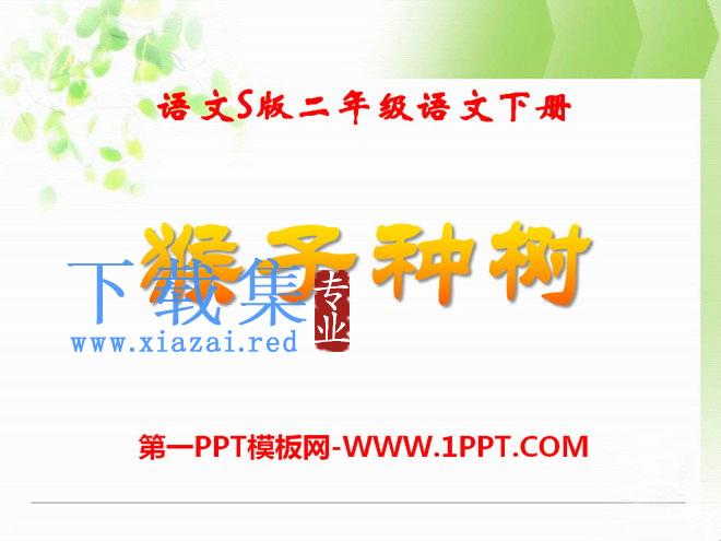 《猴子种树》PPT课件