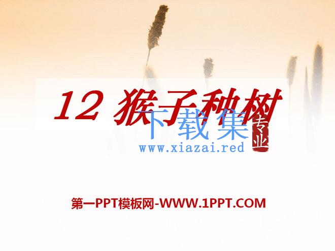 《猴子种树》PPT课件2