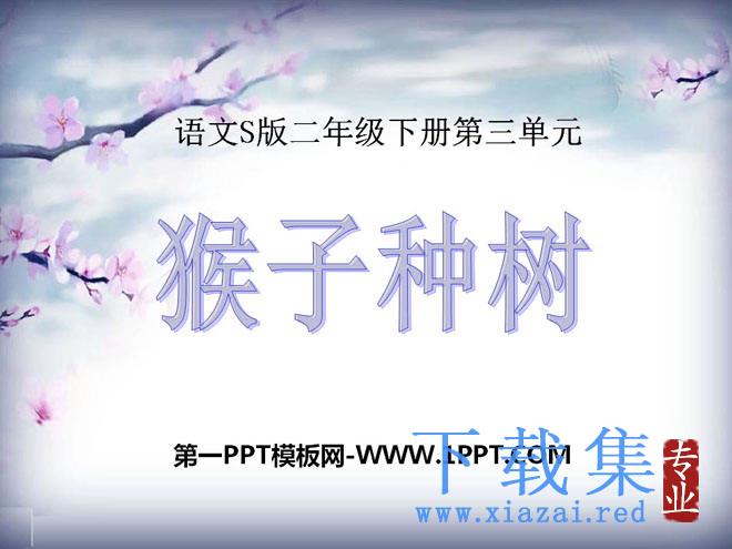《猴子种树》PPT课件4