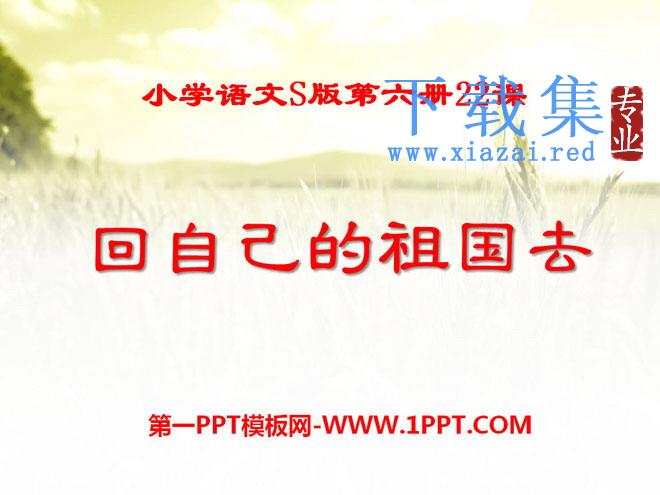 《回自己的祖国去》PPT课件5