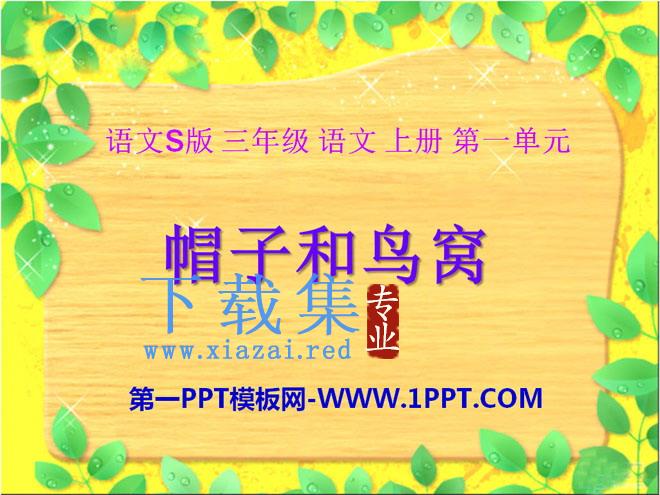 《帽子和鸟窝》PPT课件