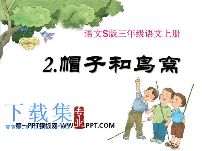 《帽子和鸟窝》PPT课件2