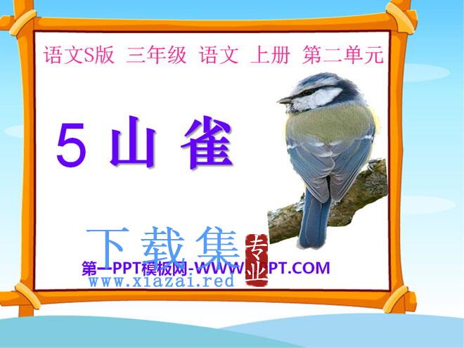 《山雀》PPT课件