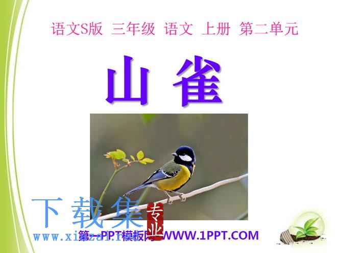 《山雀》PPT课件2