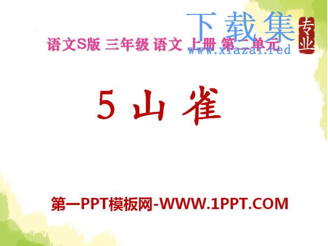 《山雀》PPT课件4