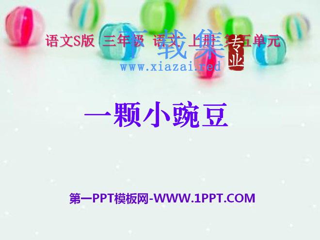 《一颗小豌豆》PPT课件6