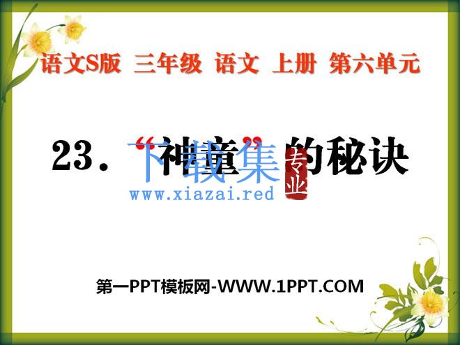 《“神童”的秘诀》PPT课件2