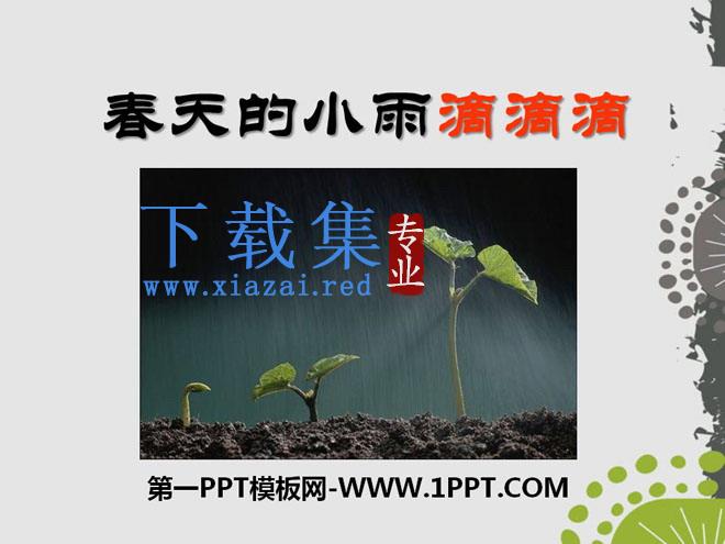 《春天的小雨滴滴滴》PPT课件3