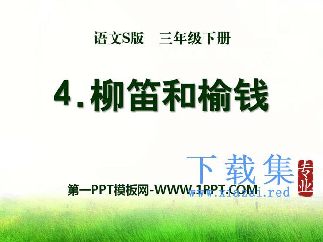 《柳笛和榆钱》PPT课件6