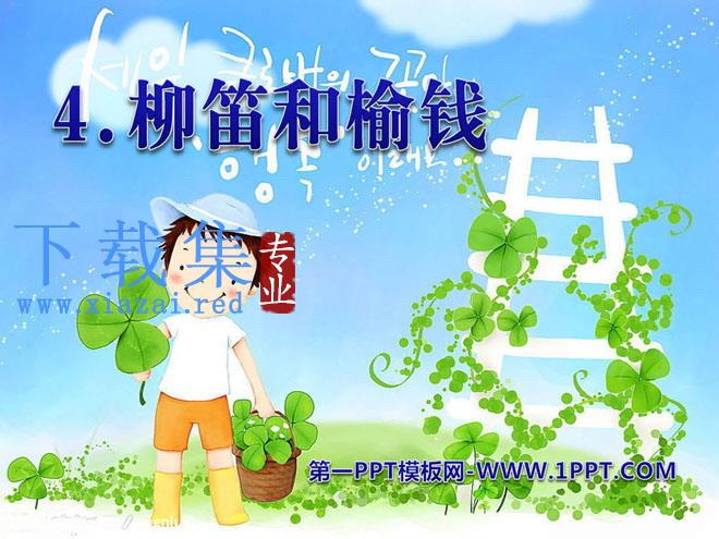 《柳笛和榆钱》PPT课件7