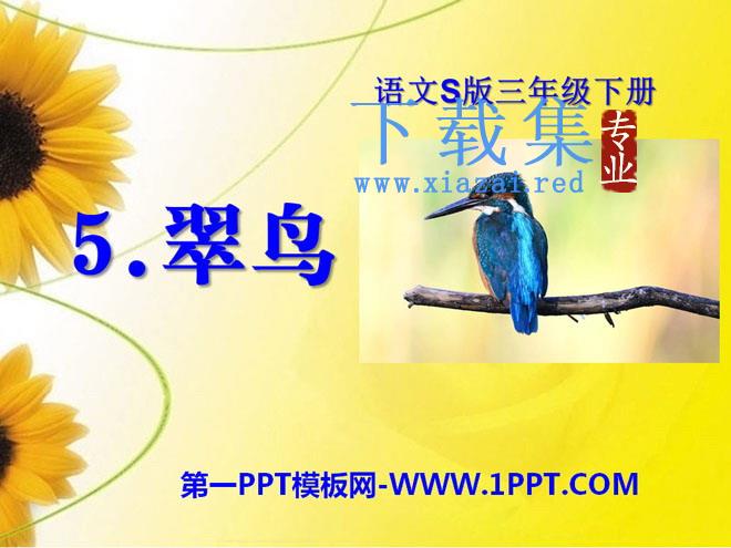 《翠鸟》PPT课件7