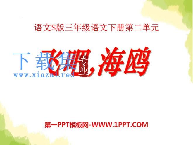 《飞吧，海鸥》PPT课件