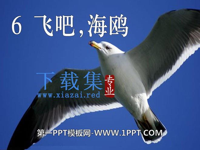 《飞吧，海鸥》PPT课件2