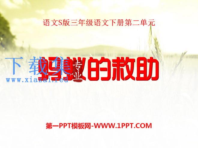 《蚂蚁的救助》PPT课件