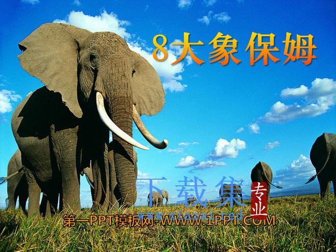 《大象保姆》PPT课件3