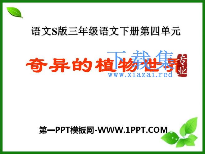 《奇异的植物世界》PPT课件2