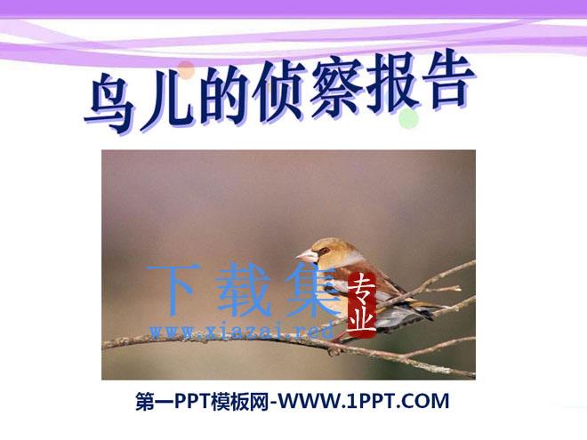 《鸟儿的侦察报告》PPT课件6