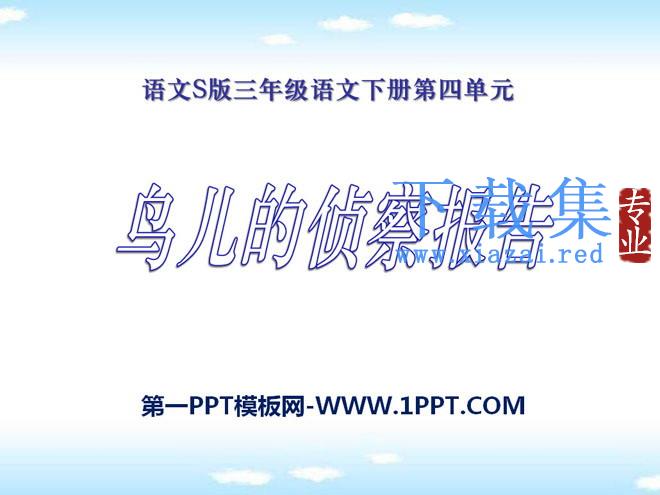 《鸟儿的侦察报告》PPT课件7