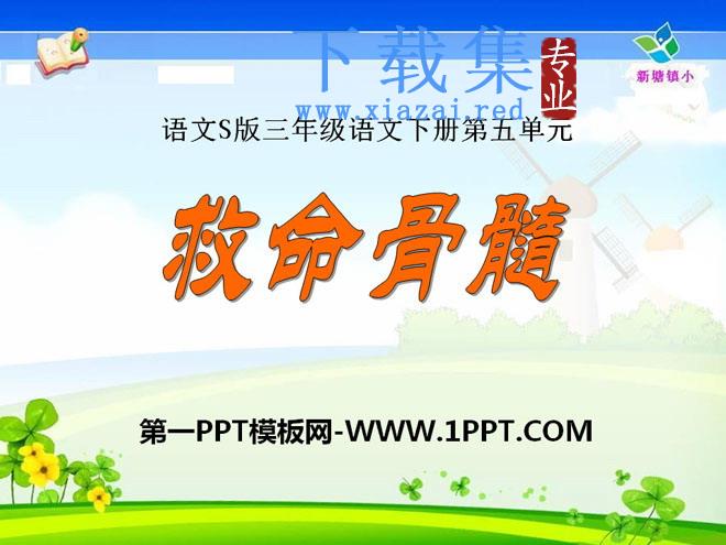 《救命骨髓》PPT课件3