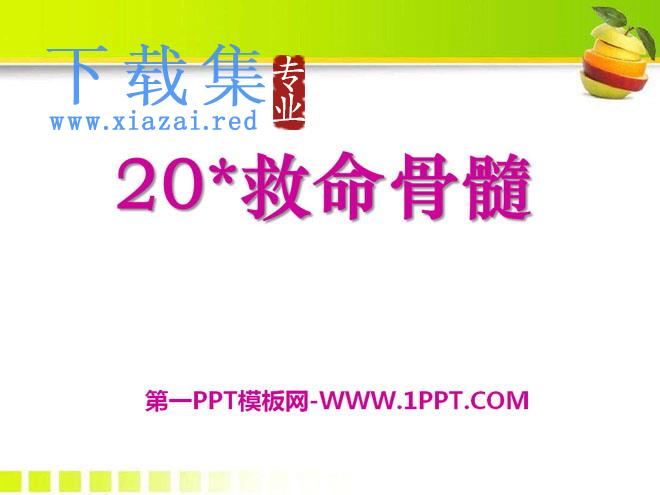 《救命骨髓》PPT课件4