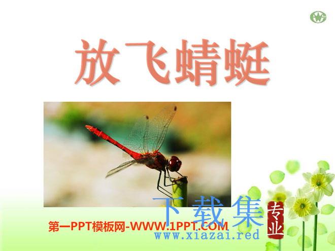 《放飞蜻蜓》PPT课件5