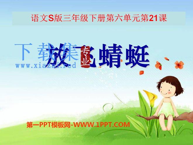 《放飞蜻蜓》PPT课件6