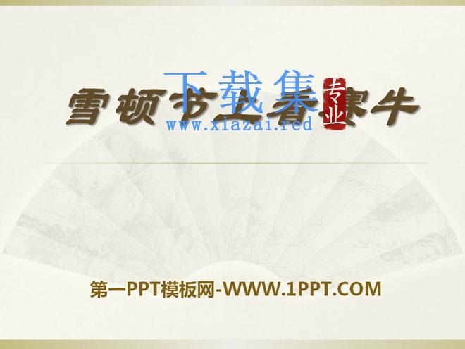 《雪顿节上看赛牛》PPT课件