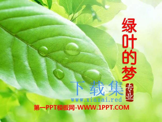 《绿叶的梦》PPT课件5