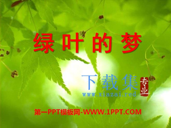《绿叶的梦》PPT课件6