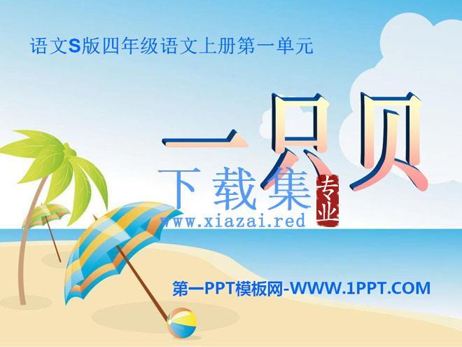 《一只贝》PPT课件3