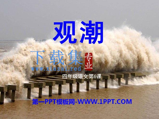 《观潮》PPT课件9